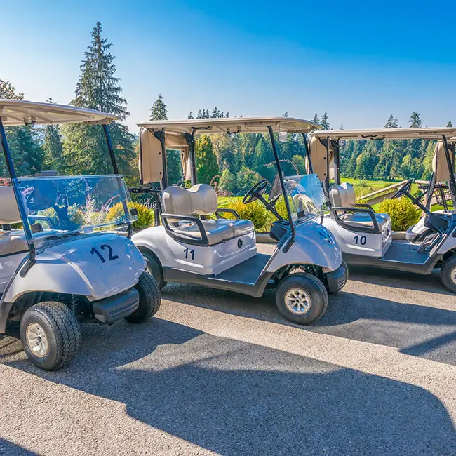 Golf carts at a club
